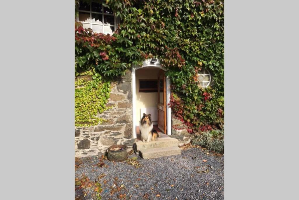Apartment The Byre . *